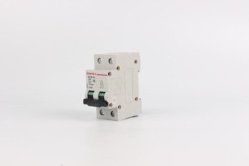 MCB-2P 40A Miniature Circuit Breaker