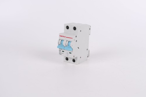 Circuit breaker C65 2P